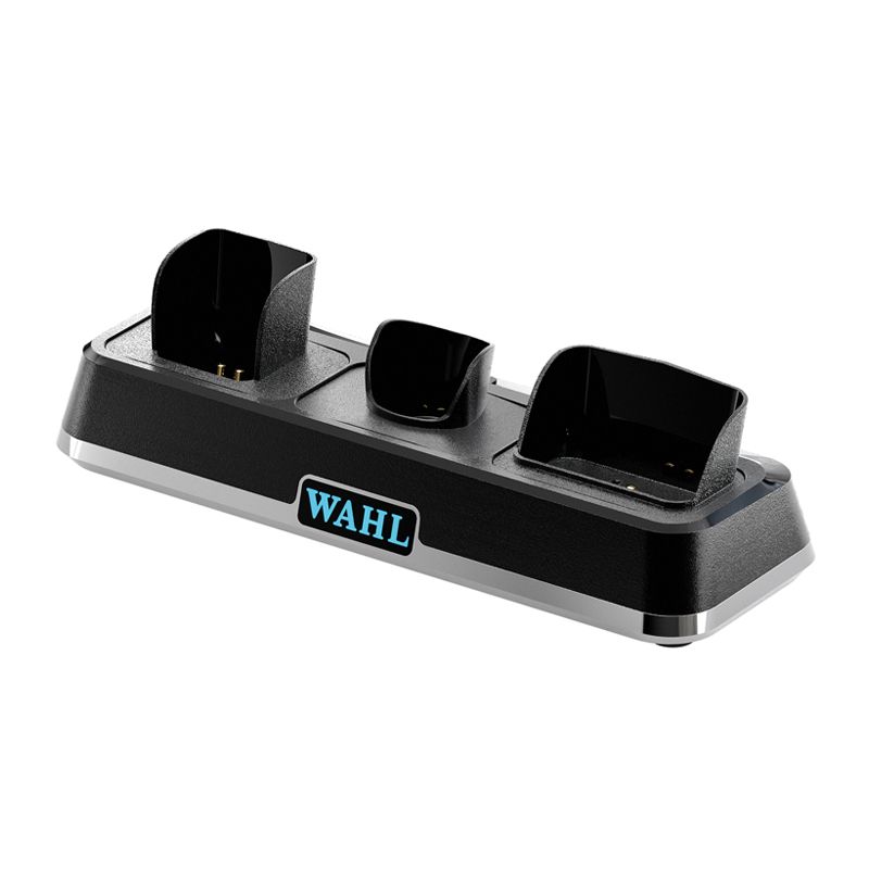 Wahl Power Station Charging Station - view 2